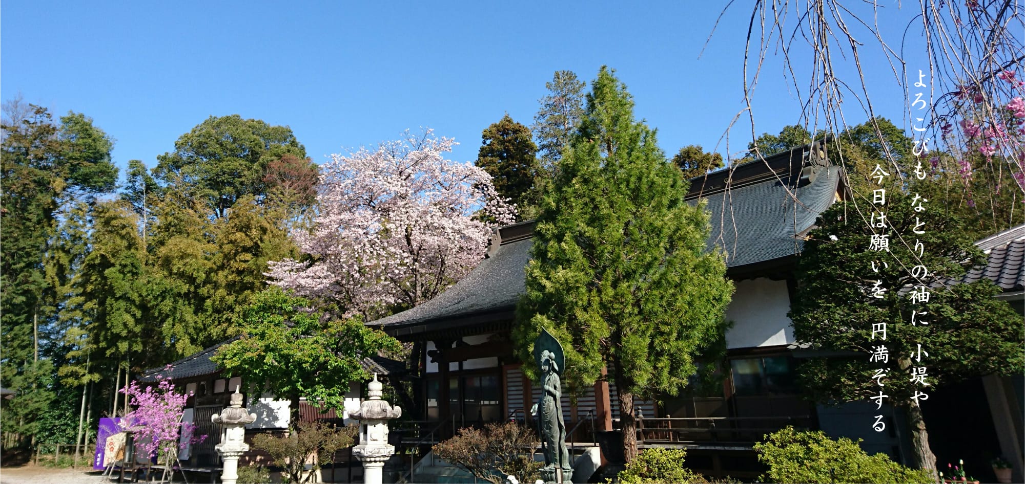 円満寺は809年に開創された古刹であり、葛飾坂東観音霊場の第33番札所です。広大な境内は、桜や銀杏など四季折々の自然に囲まれています。本堂と客殿は地域屈指の大きさで、大人数のご法要も可能です。